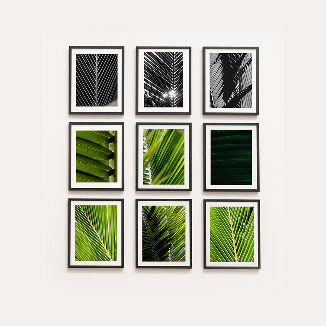 Fine Art
